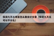 投资几万小项目怎么做会计分录（投资几万元可以干什么）