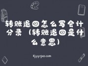 转账退回怎么写会计分录（转账退回是什么意思）