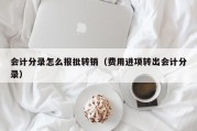 会计分录怎么报批转销（费用进项转出会计分录）