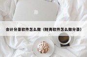 会计分录软件怎么做（财务软件怎么做分录）