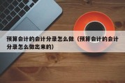 预算会计的会计分录怎么做（预算会计的会计分录怎么做出来的）
