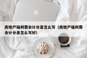房地产福利费会计分录怎么写（房地产福利费会计分录怎么写好）