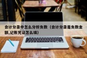 会计分录中怎么分析负数（会计分录是负数金额,记账凭证怎么填）