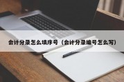 会计分录怎么填序号（会计分录编号怎么写）