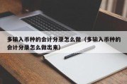 多输入币种的会计分录怎么做（多输入币种的会计分录怎么做出来）