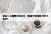 会计分录里数额怎么写（会计数量金额式怎么登记）