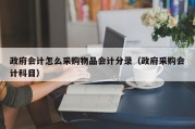 政府会计怎么采购物品会计分录（政府采购会计科目）