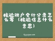 核验账户会计分录怎么写（核验信息什么意思）