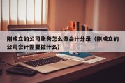 刚成立的公司账务怎么做会计分录（刚成立的公司会计需要做什么）