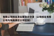 有限公司核名怎么做会计分录（公司核名有限公司与有限责任公司区别）