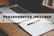 学生怎么支付社保会计分录（学生怎么用社保）