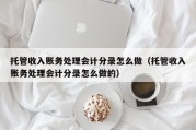 托管收入账务处理会计分录怎么做（托管收入账务处理会计分录怎么做的）