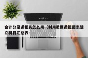 会计分录透视表怎么用（利用数据透视图表建立科目汇总表）