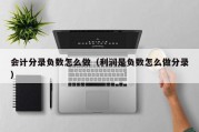 会计分录负数怎么做（利润是负数怎么做分录）