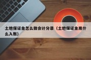 土地保证金怎么做会计分录（土地保证金用什么入账）